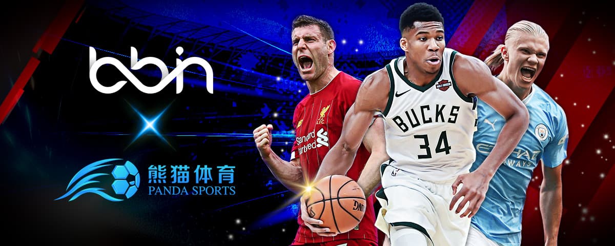 今天我们就